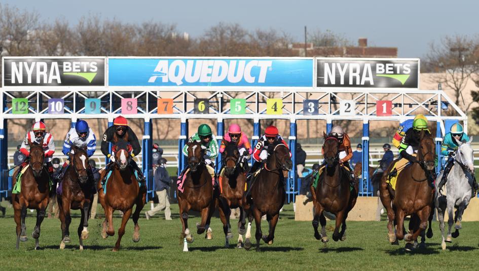 Noel Michaels handicapping, Americas Best Racing Sunday Selections, Aqueduct